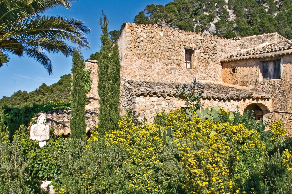 Mallorca - Frühlingstraum und Mandelblüte