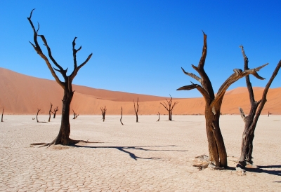 Silvesterreise | Kontrastreiches Namibia