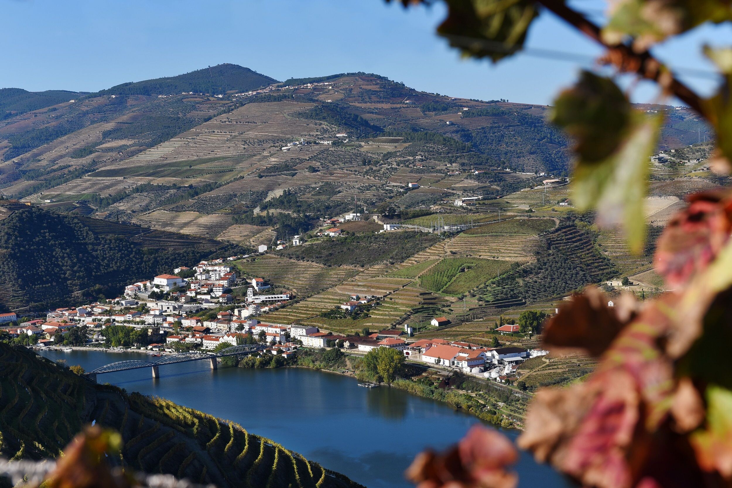 Dourotal_08_web_1