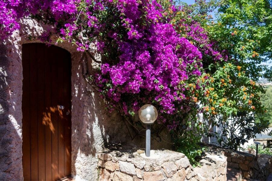 Hotel_AHR_Altura_garden2_web.jpg