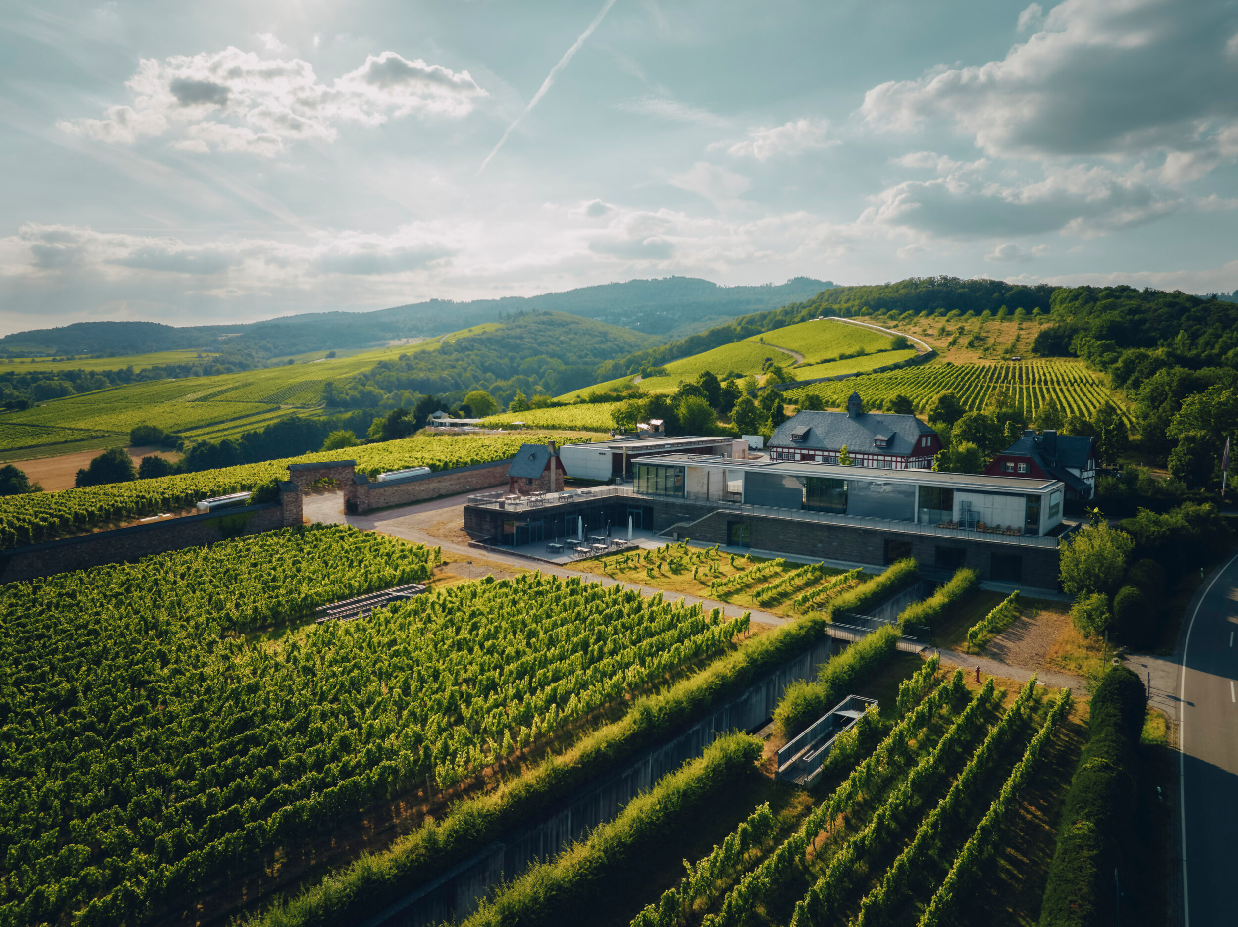rheingau_juli25_peterbender_798.jpg