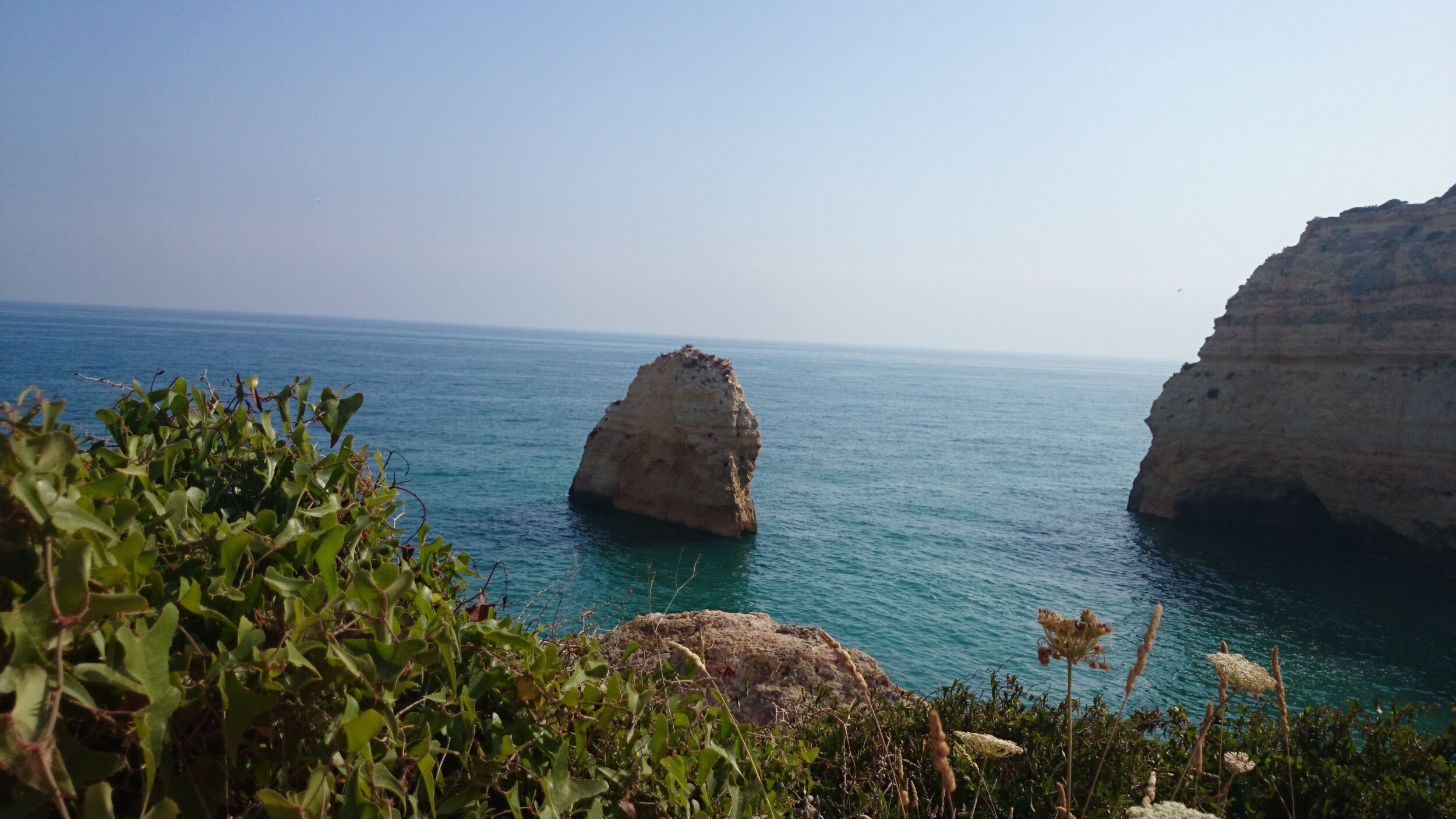 Carvoeiro
