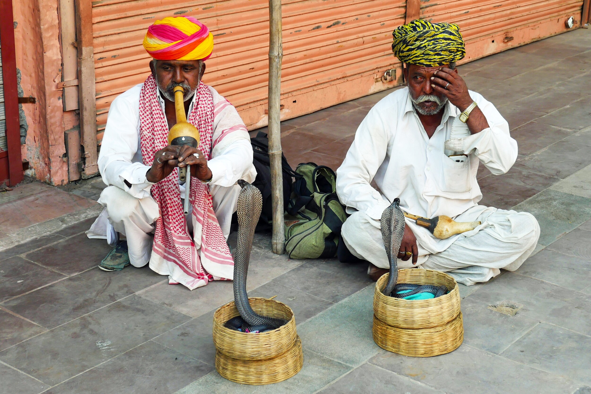 Ind_Jaipur_Schlangenbeschwörer_UJ.jpg