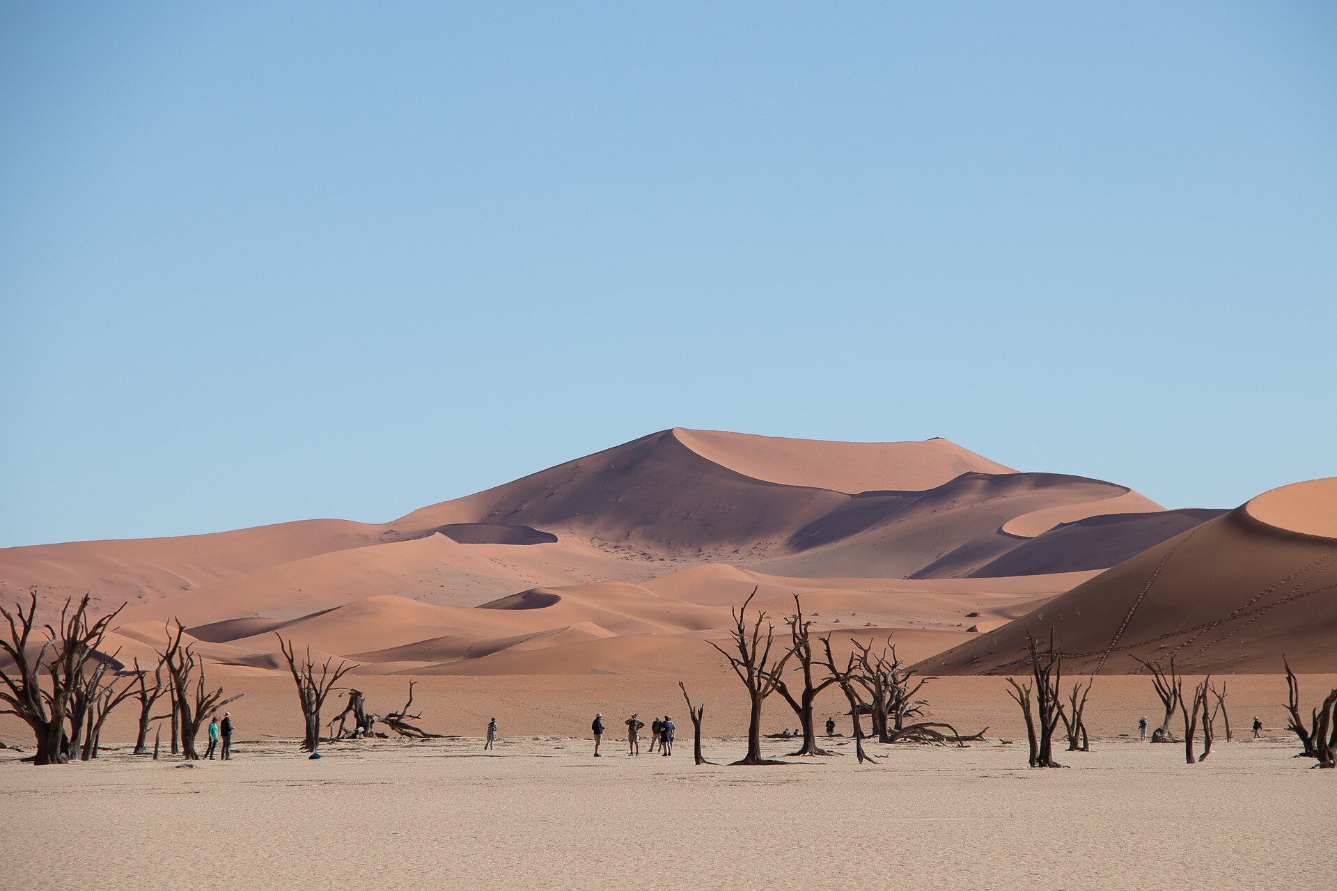 lisahamming-namibia-9792421_1920.jpg