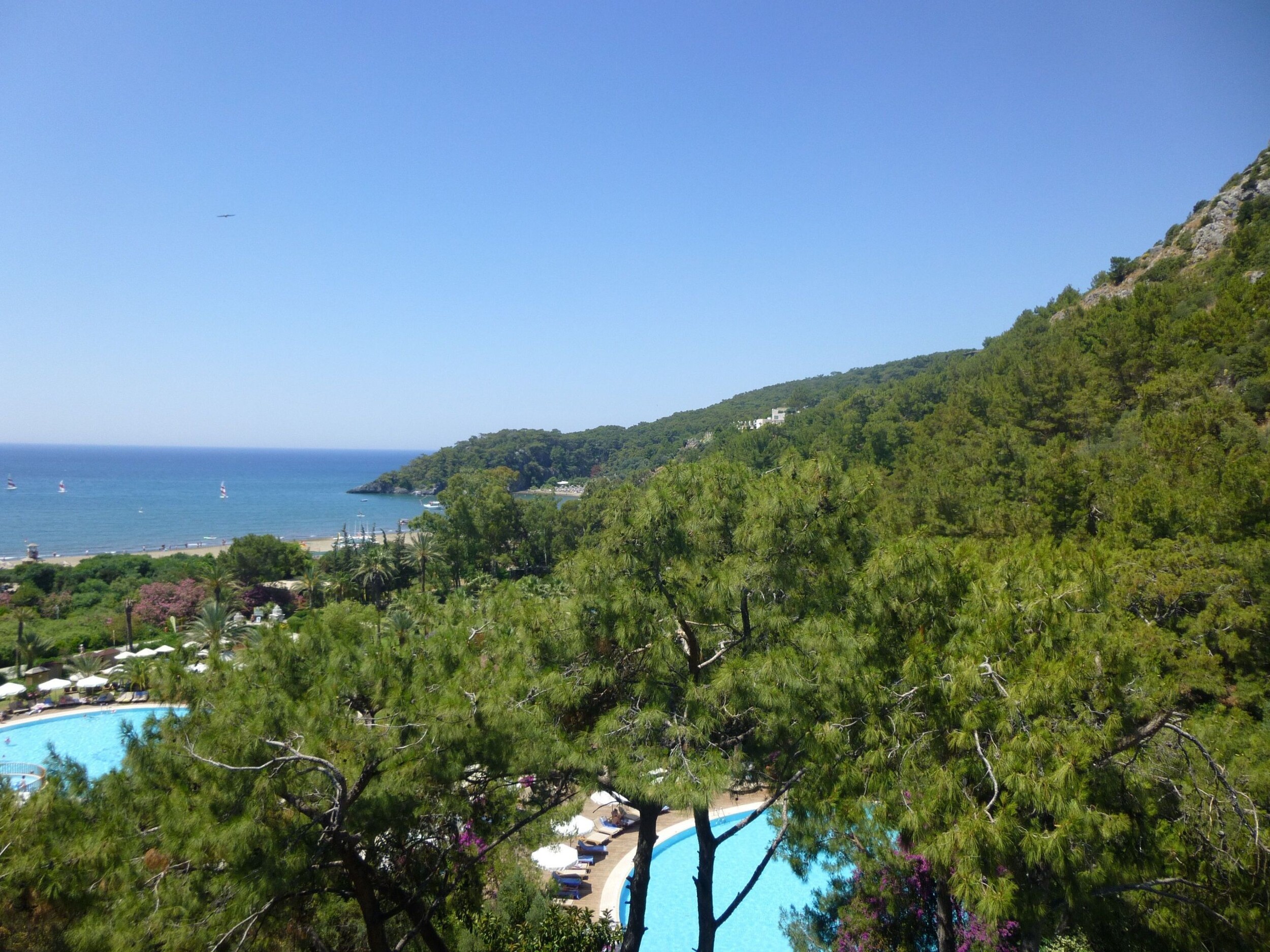 P1050279_web