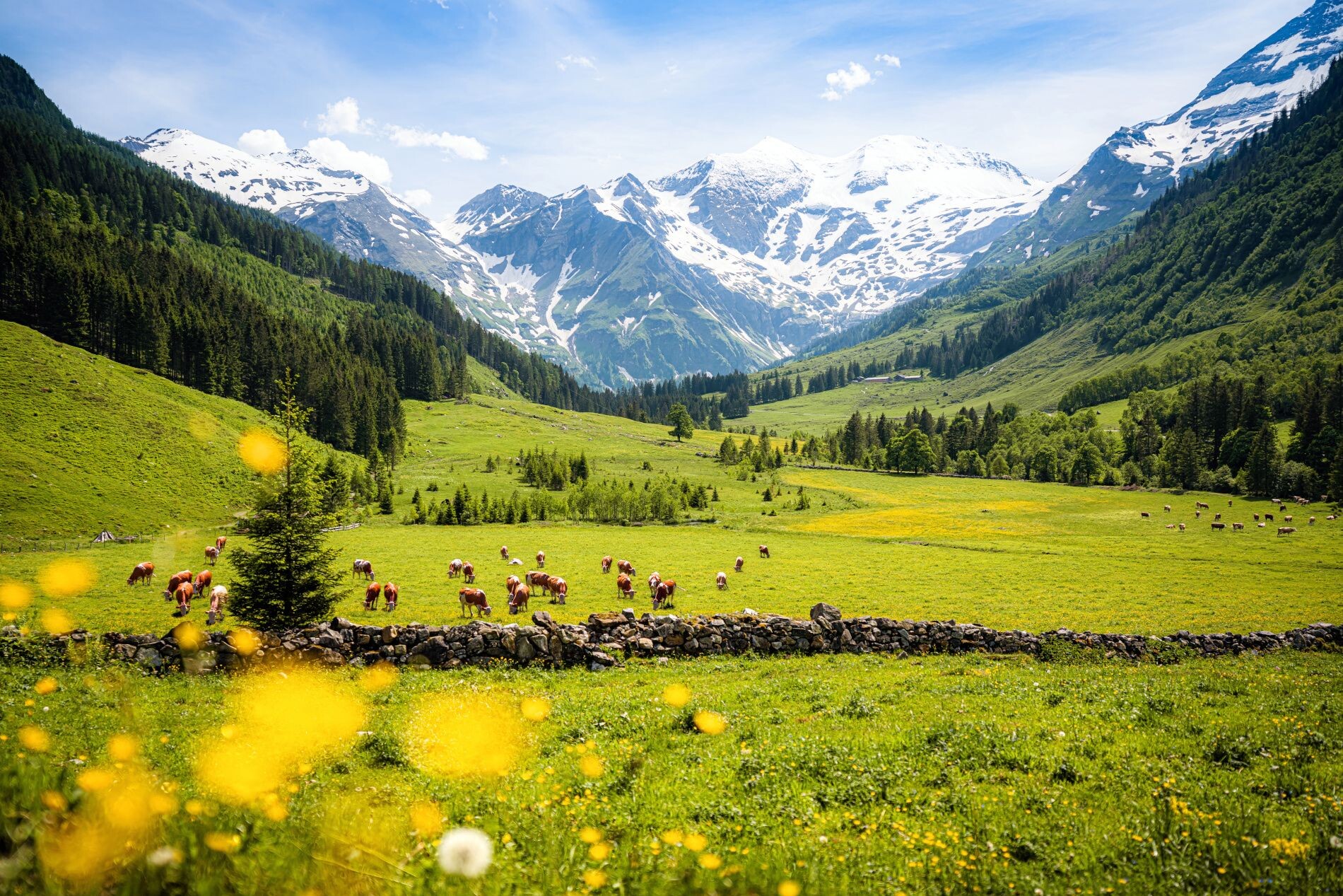 1Alpenlandschaft_AdobeStock_345966929_1