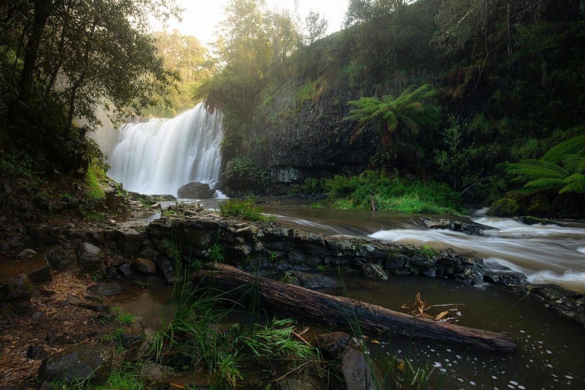 Cairns Wasserfall