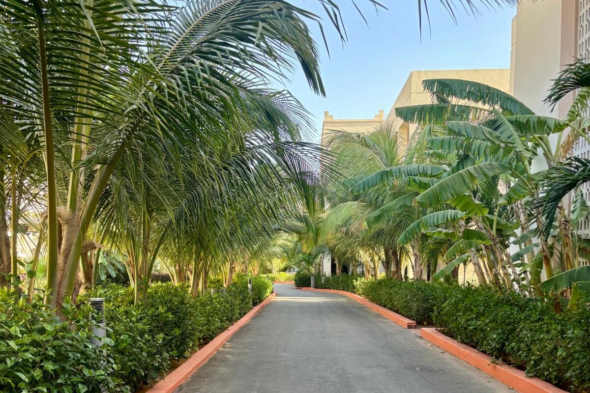 Riu Hotel Baobab Garten