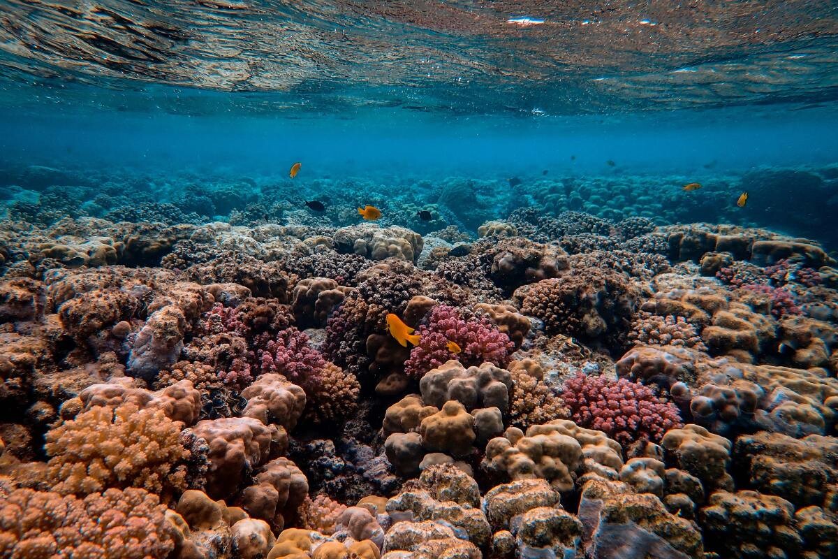 Great Barrier Reef