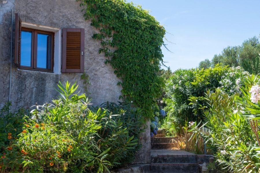 Hotel_AHR_Altura_garden3_web.jpg